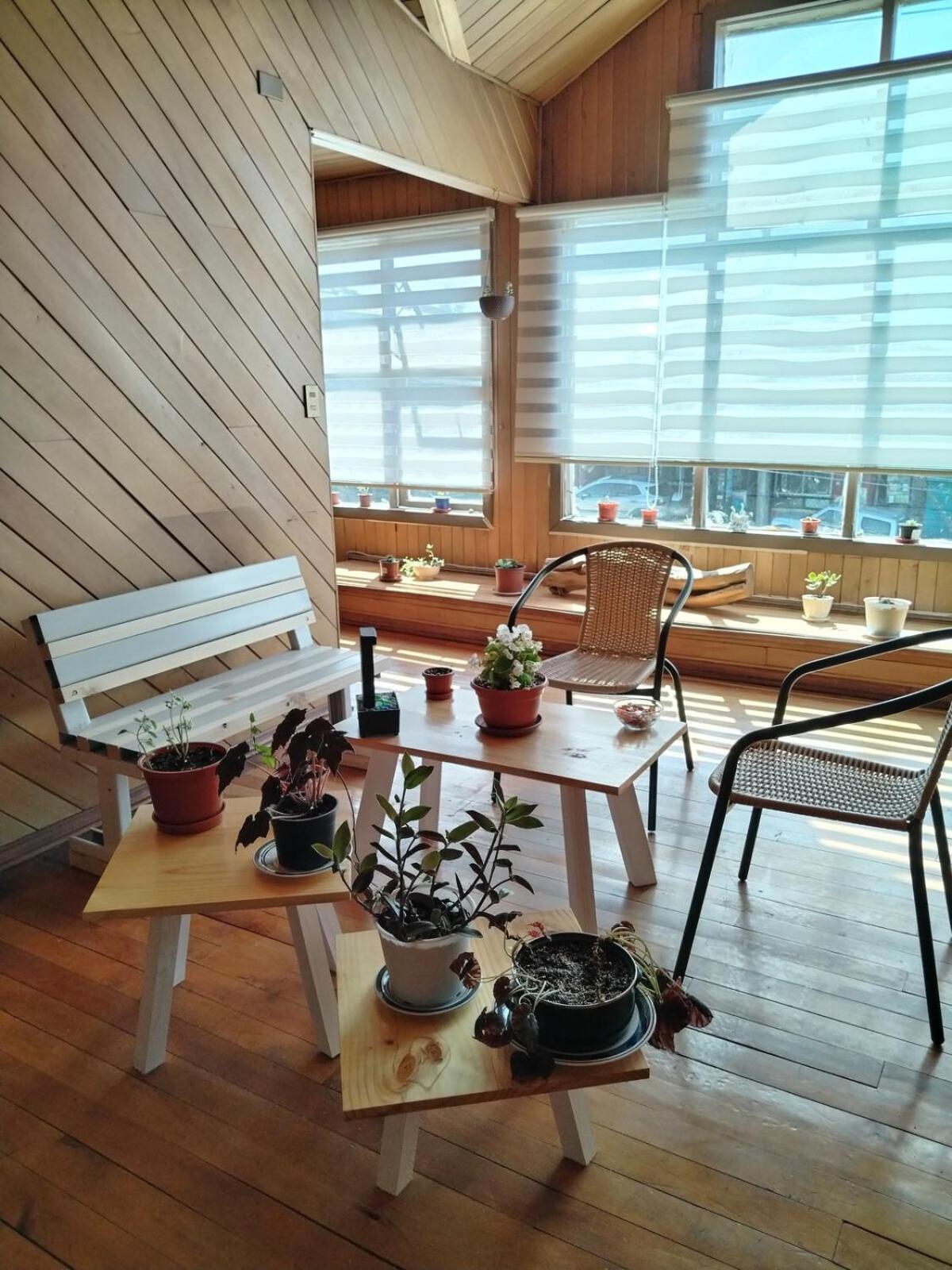 Habitacion Arrayan Castro Dış mekan fotoğraf
