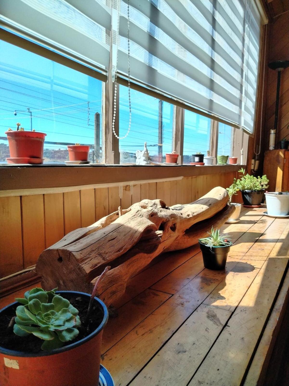 Habitacion Arrayan Castro Dış mekan fotoğraf